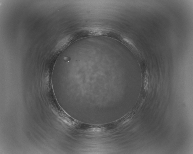 X0000079280314200612011705