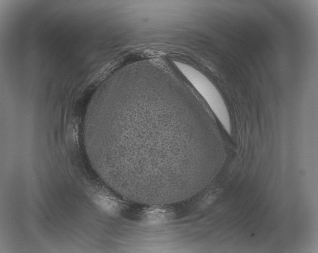 X0000079280315200612011705