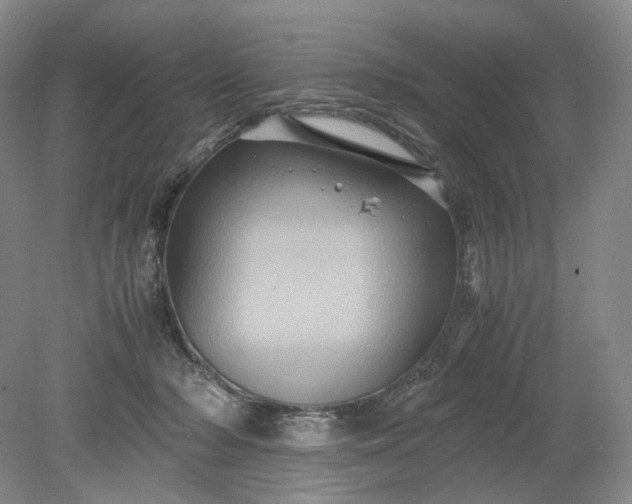 X0000079280318200612011705