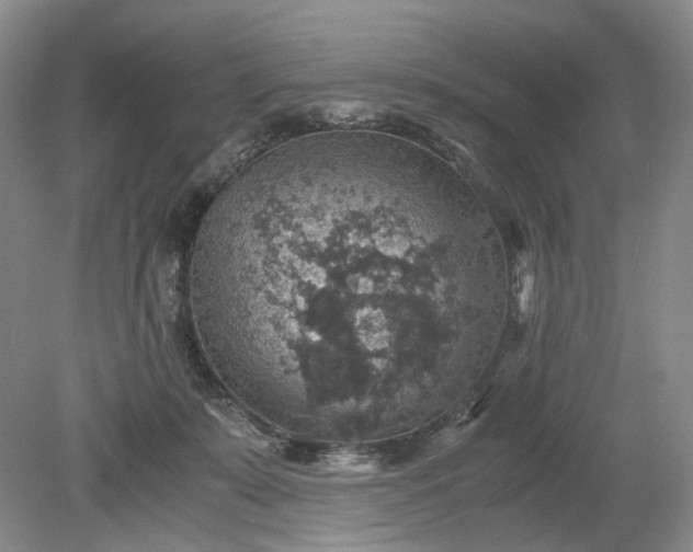 X0000079280319200612011705