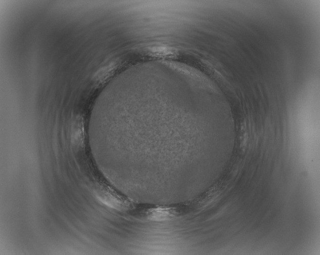 X0000079280320200612011705