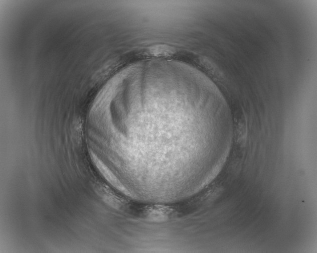 X0000079280321200612011705