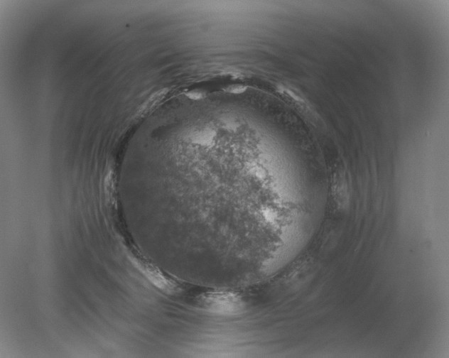 X0000079280322200612011705