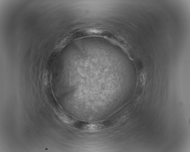 X0000079280323200612011705