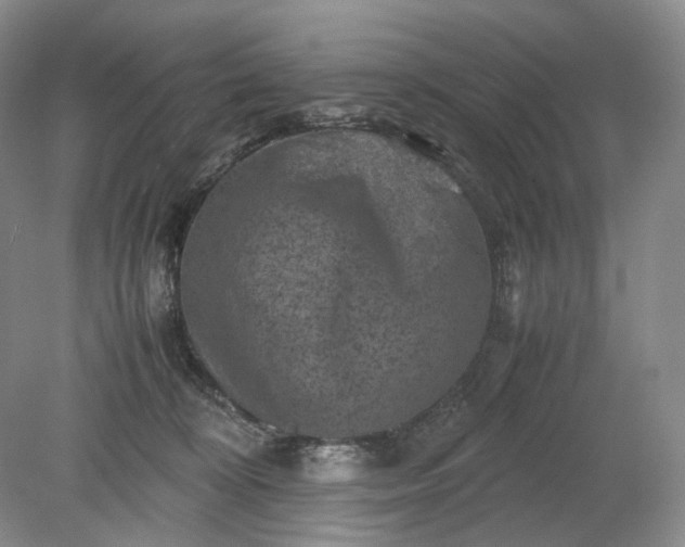 X0000079280324200612011705