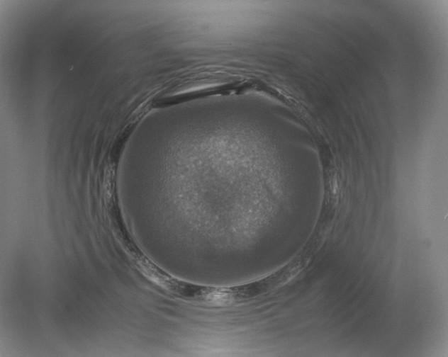 X0000079280325200612011705