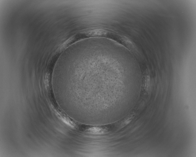 X0000079280326200612011705