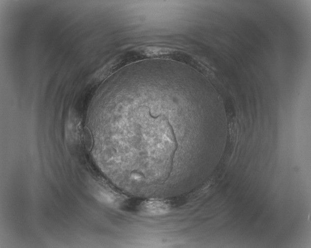 X0000079280327200612011705