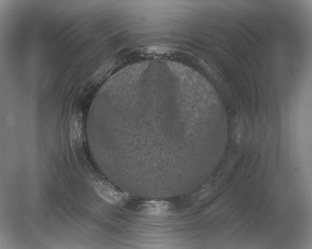 X0000079280328200612011704