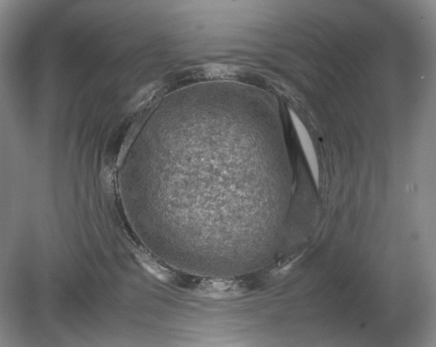 X0000079280329200612011704