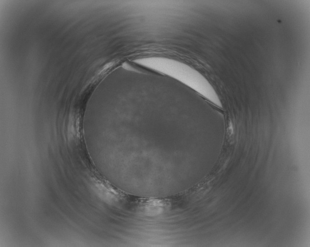 X0000079280330200612011704