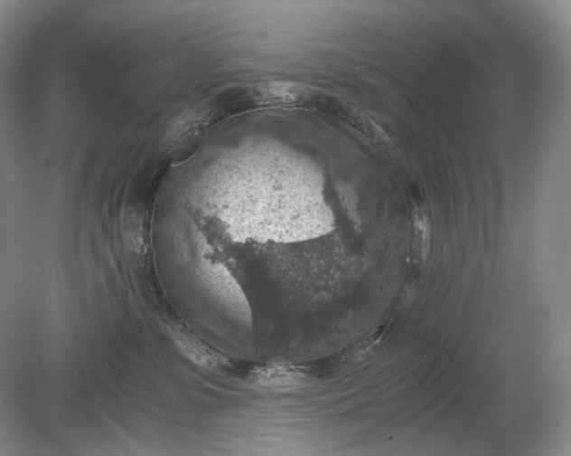 X0000079280331200612011704