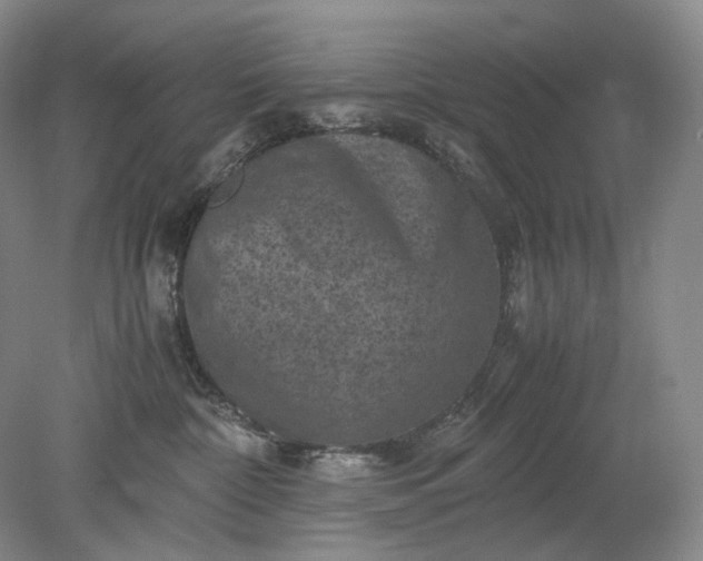 X0000079280332200612011704