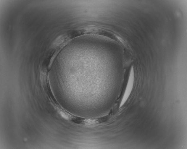 X0000079280333200612011704