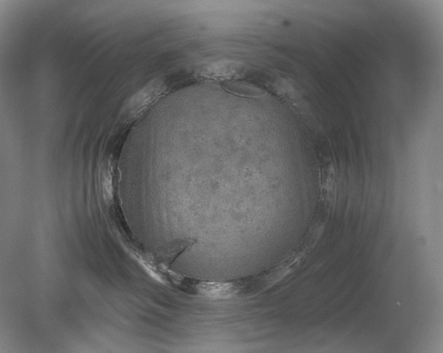 X0000079280334200612011704