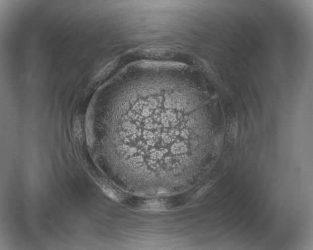 X0000079280335200612011704