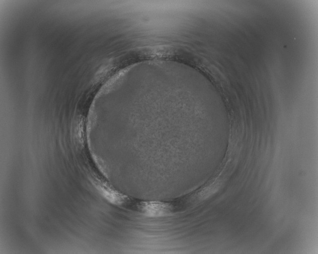 X0000079280336200612011704