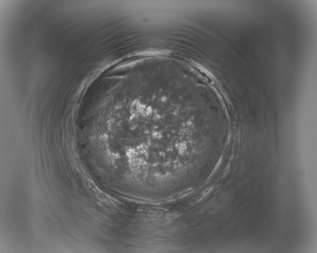 X0000079280337200612011704