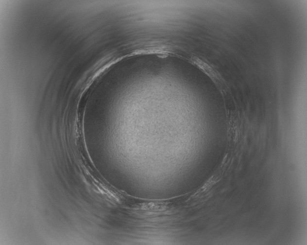 X0000079280338200612011704