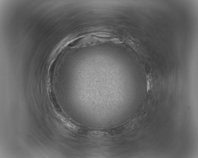 X0000079280339200612011704