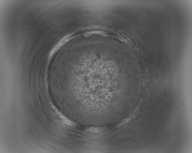 X0000079280341200612011704