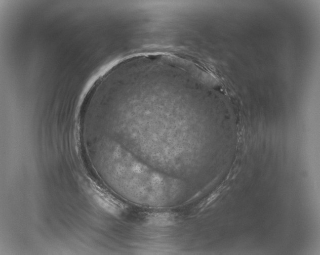 X0000079280342200612011704