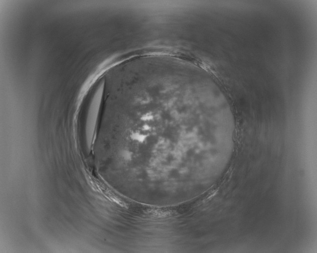 X0000079280343200612011704