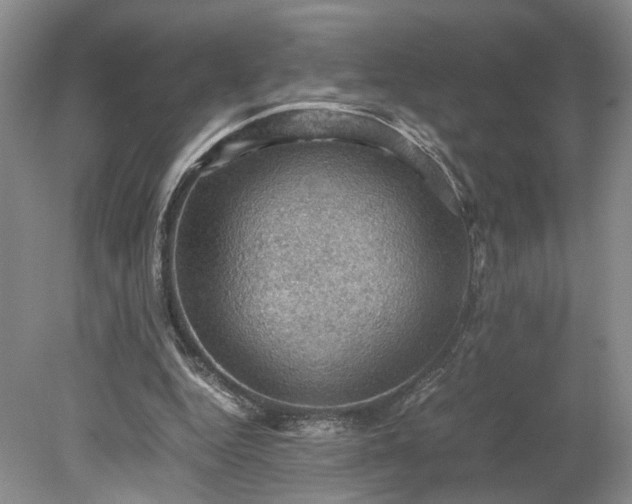 X0000079280344200612011704