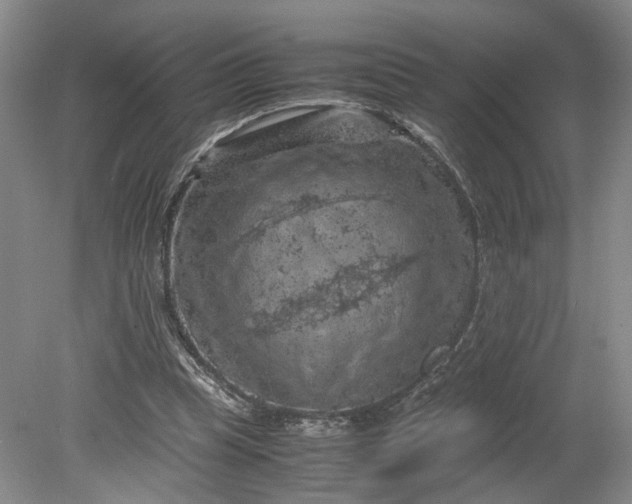 X0000079280345200612011704