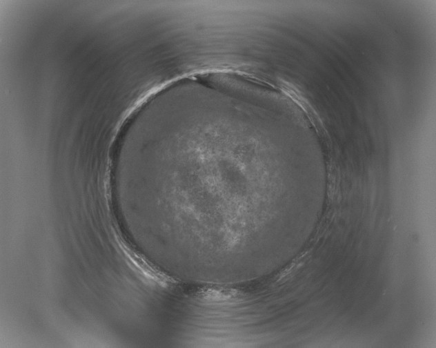 X0000079280346200612011704