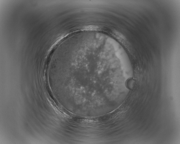 X0000079280347200612011704