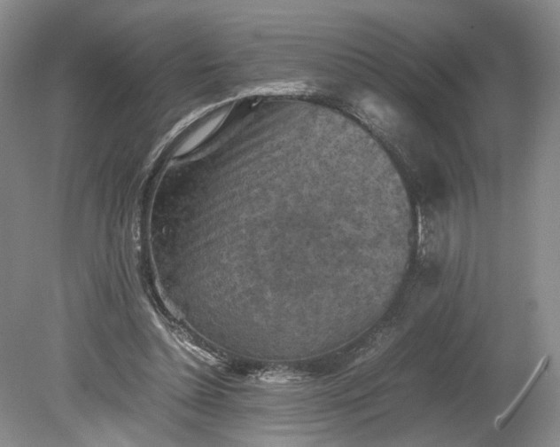 X0000079280348200612011704