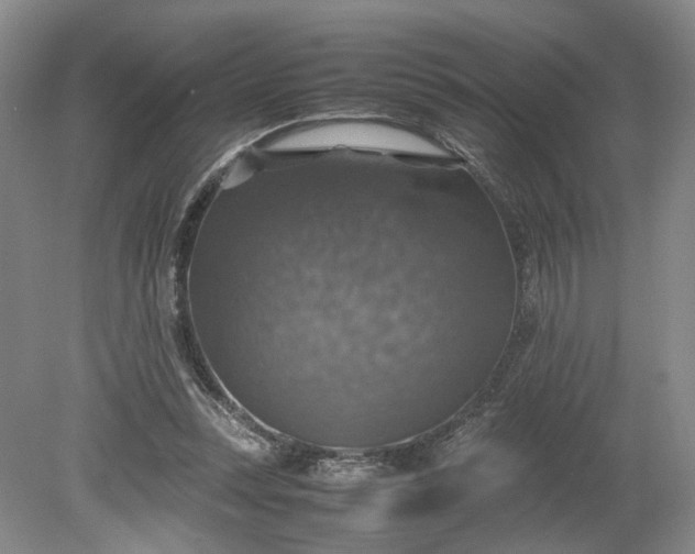 X0000079280351200612011704