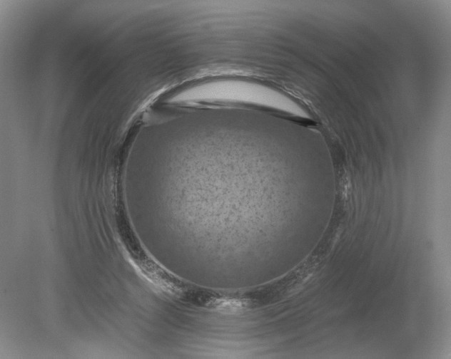 X0000079280352200612011704