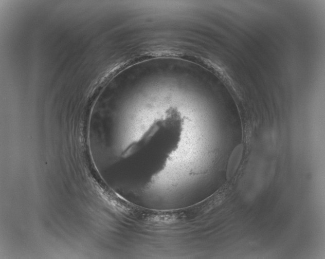 X0000079280353200612011704