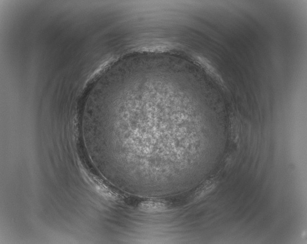 X0000079280354200612011704