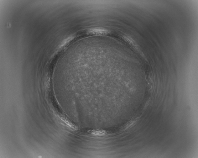 X0000079280355200612011704