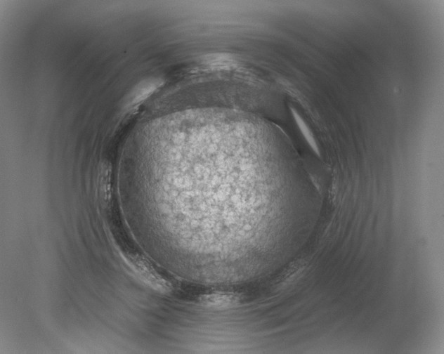 X0000079280356200612011704