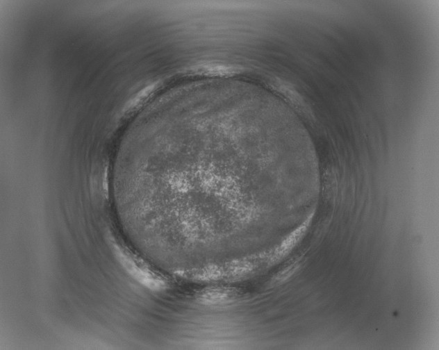 X0000079280358200612011704