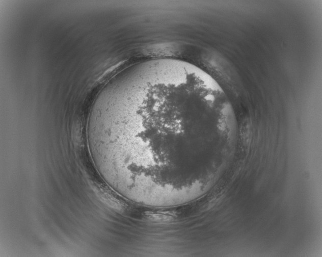 X0000079280359200612011704