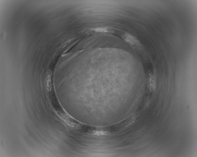 X0000079280360200612011704