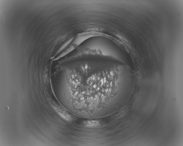 X0000079280361200612011704