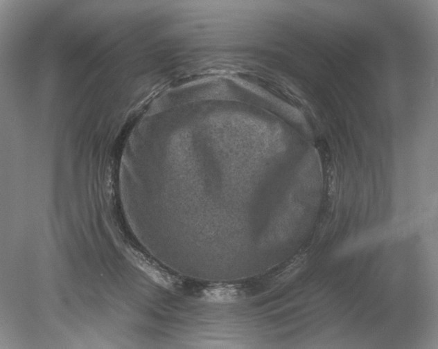 X0000079280362200612011704