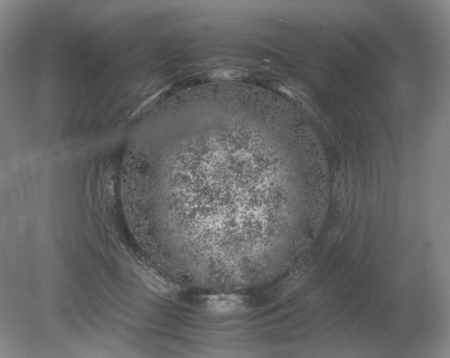 X0000079280363200612011704