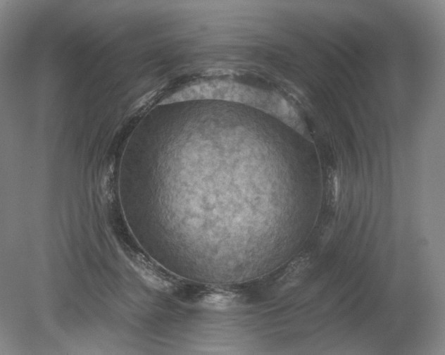 X0000079280364200612011704