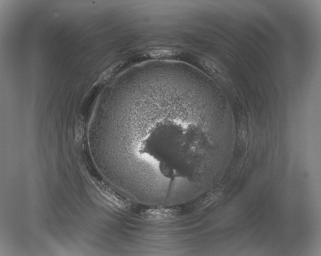 X0000079280367200612011704