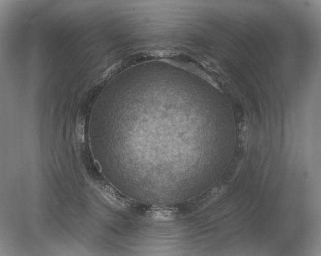 X0000079280368200612011704