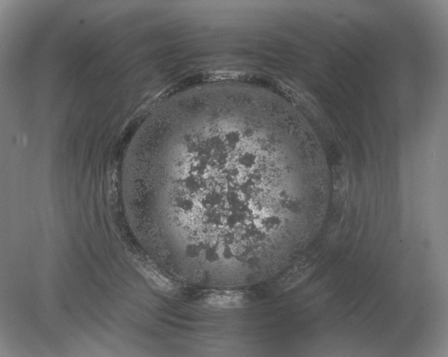 X0000079280369200612011704