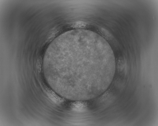 X0000079280370200612011704