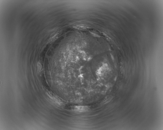 X0000079280371200612011704